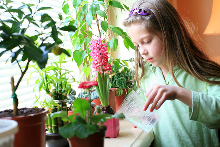Jugando jardineros: botánica práctica para niños () Jugando jardineros: botánica práctica para niños.