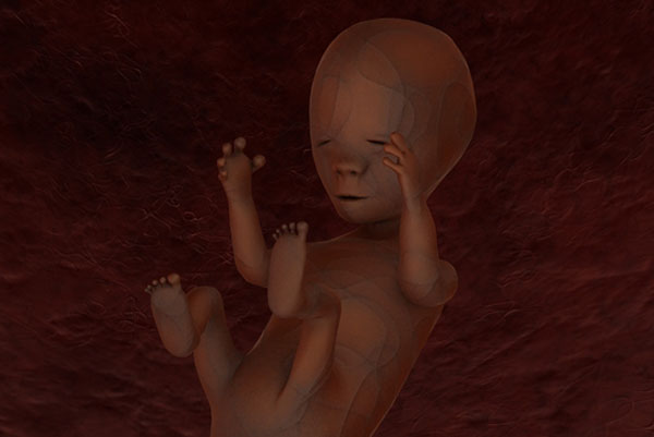 Water World (amniotic fluid) () Water World (amniotic fluid)